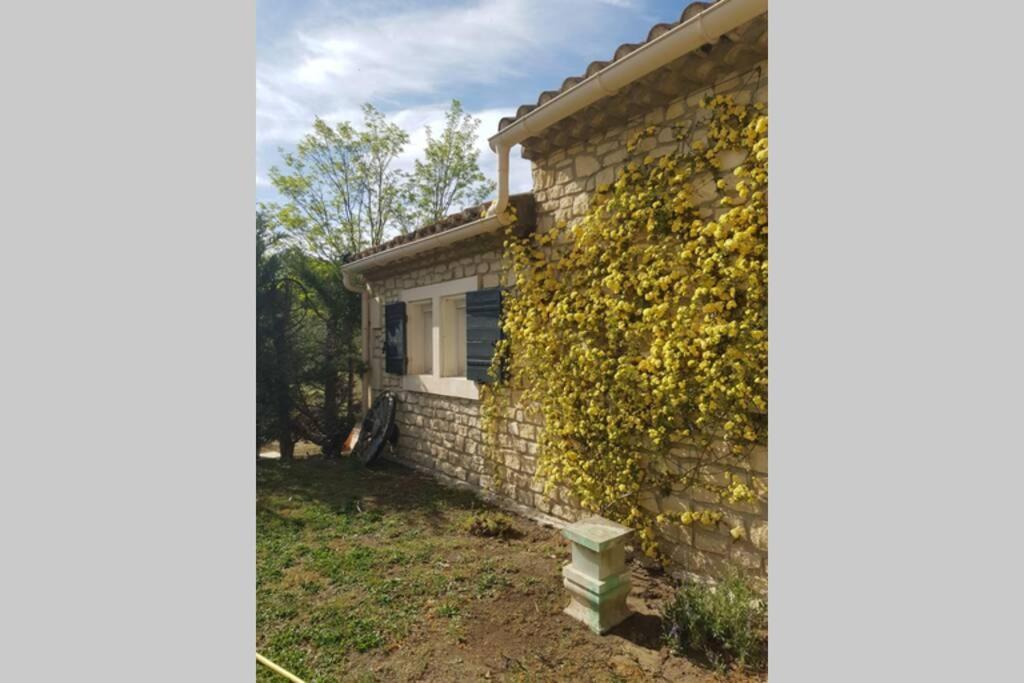 Appartement 2 Pers Avec Acces Piscine Saint-Rémy-de-Provence Exterior foto